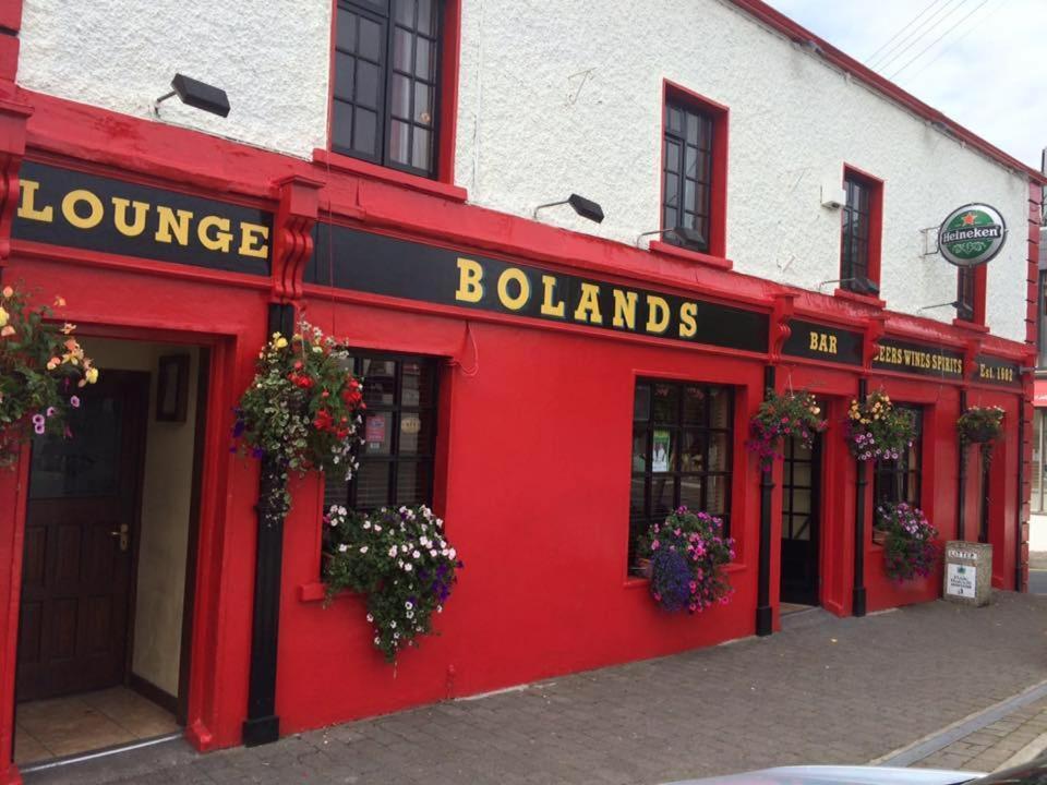 Bolands Self Catering Accommodation Hacketstown Kültér fotó